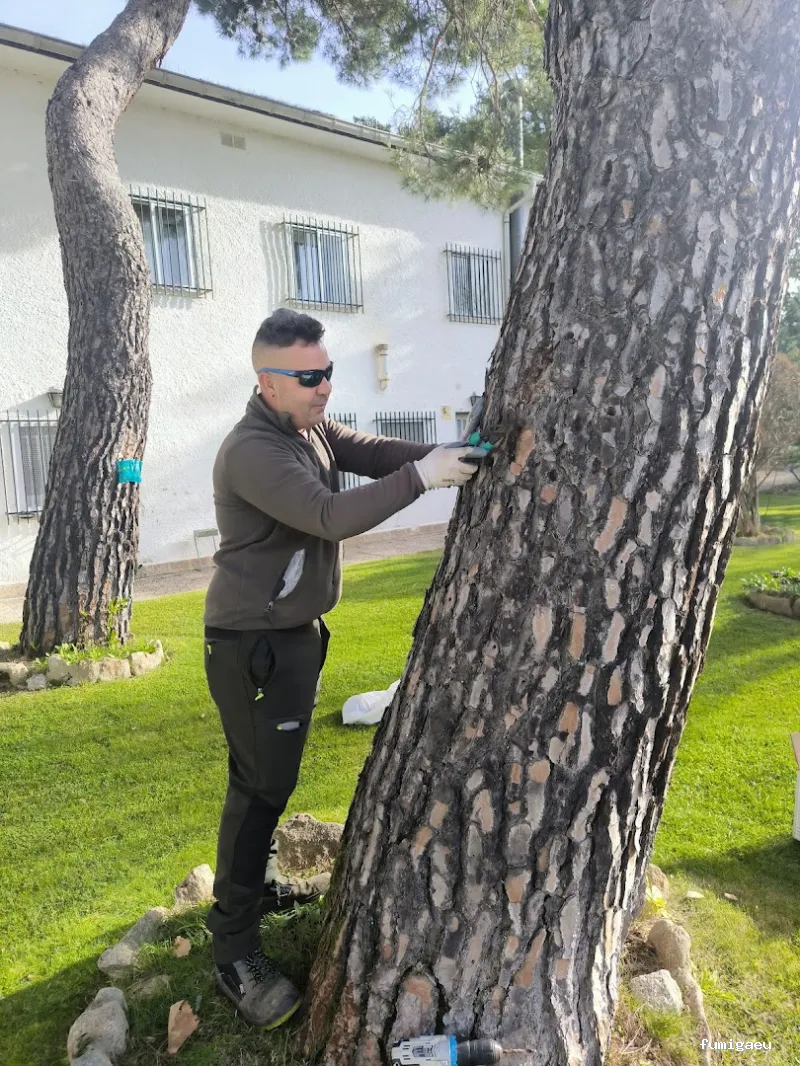 Desinfecciónes Fumigayá Barcelona