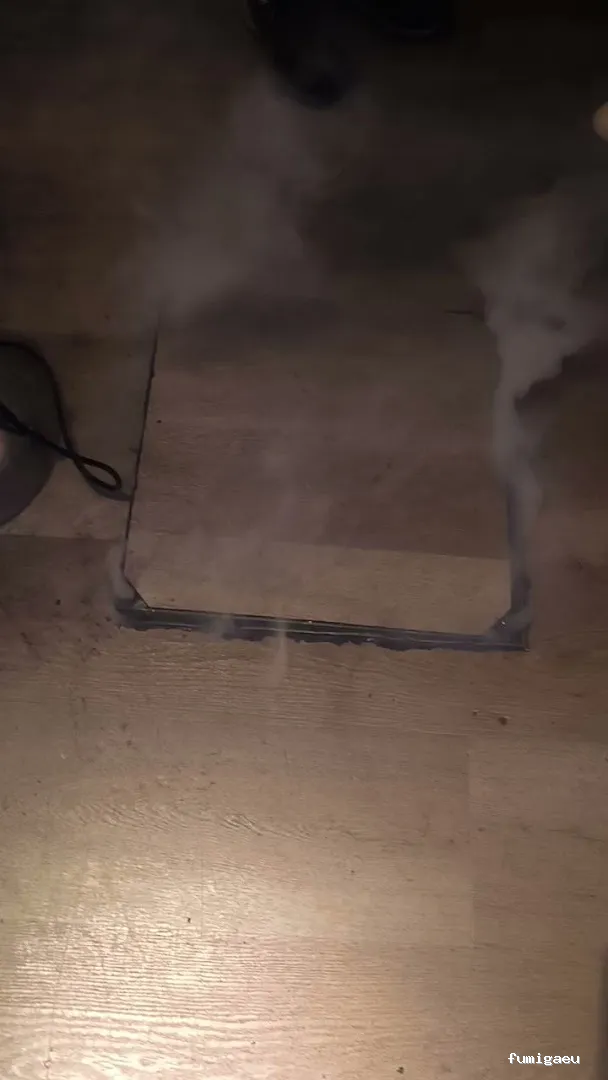 Desinfecciónes Fumigayá Barcelona