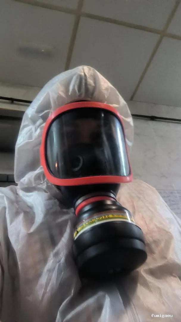 Desinfecciónes Fumigayá Barcelona