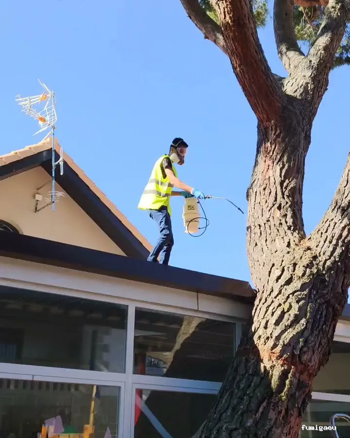 Desinfecciónes Fumigayá Barcelona