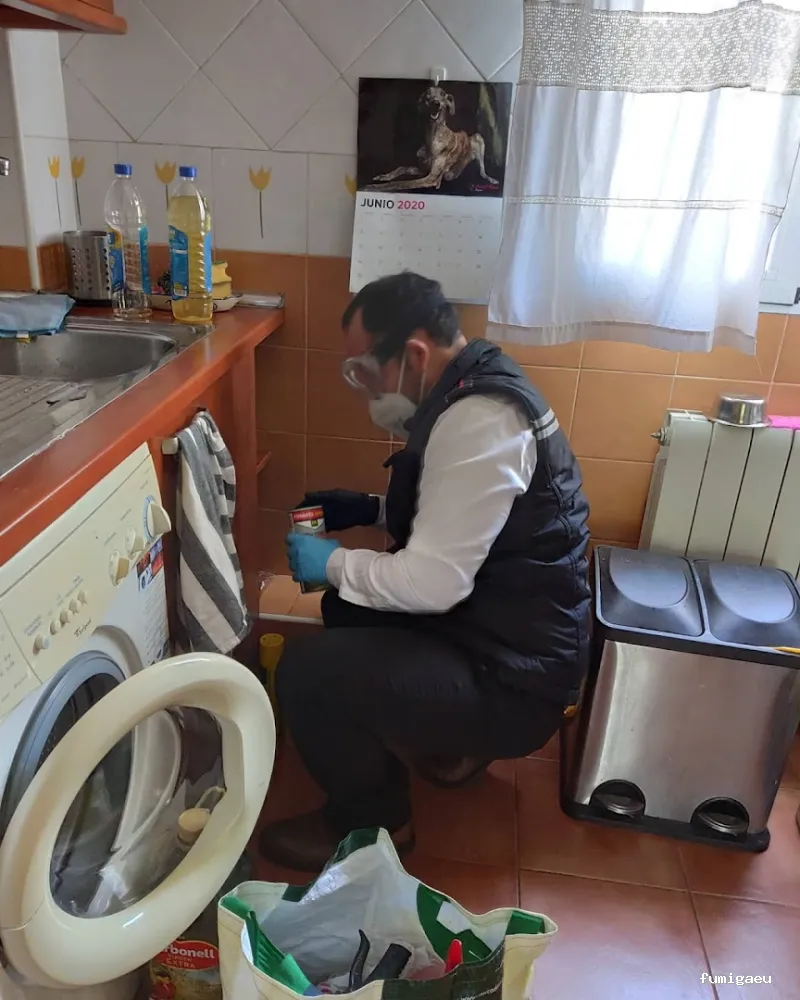 Desinfecciónes Fumigayá Barcelona