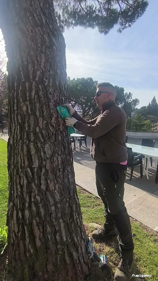 Desinfecciónes Fumigayá Barcelona