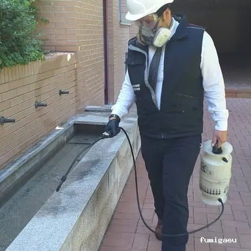 Desinfecciónes Fumigayá Barcelona