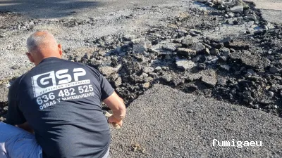 Grupo Sanchez Pescador: Servicios Integrales en Gran Canaria