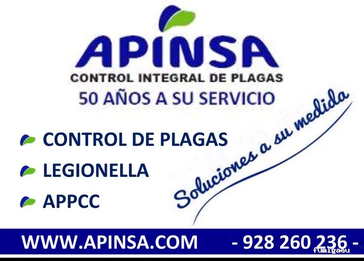 Grupo Sanchez Pescador: Servicios Integrales en Gran Canaria