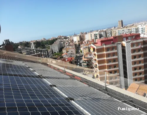 Sedesa Control de Plagas