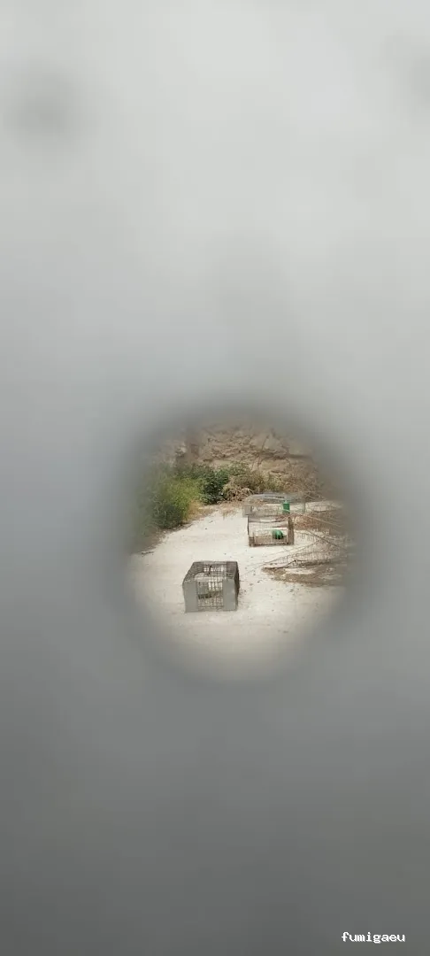 Sedesa Control de Plagas