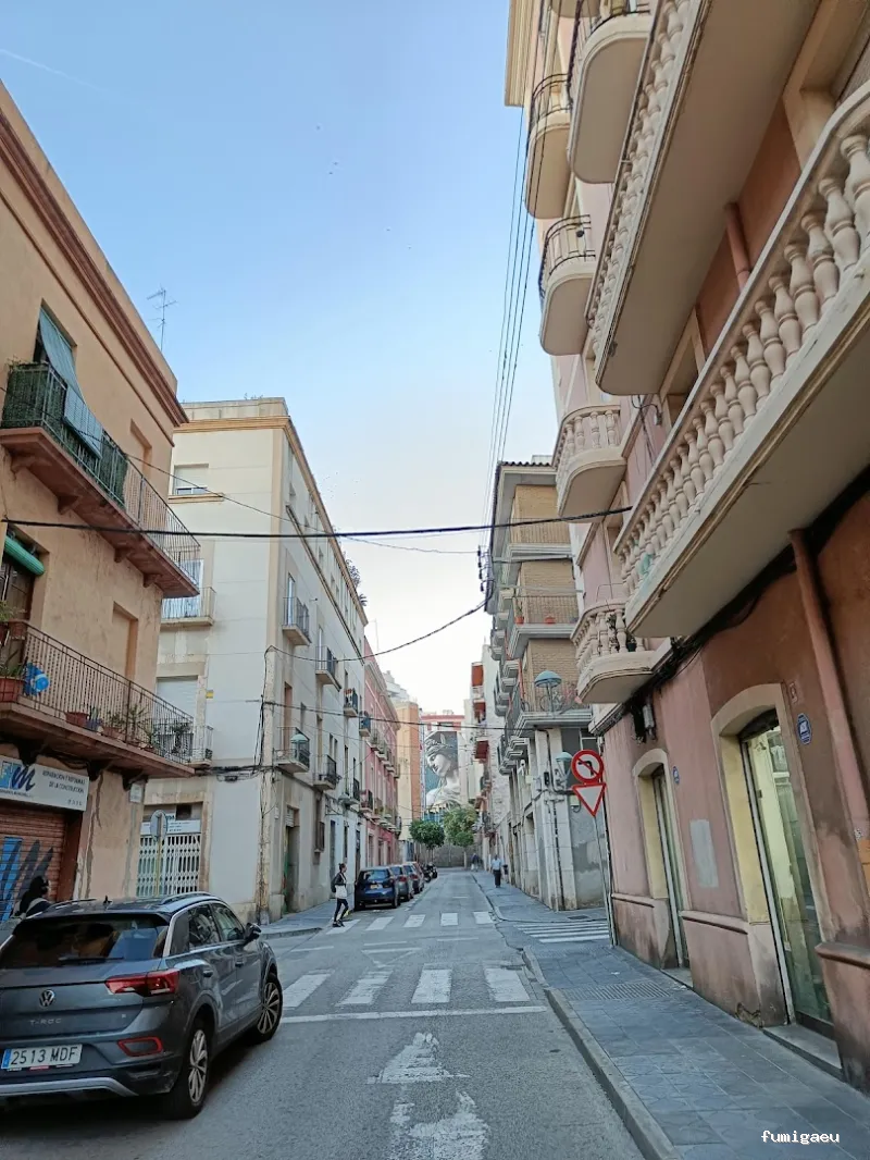 Sedesa Control de Plagas