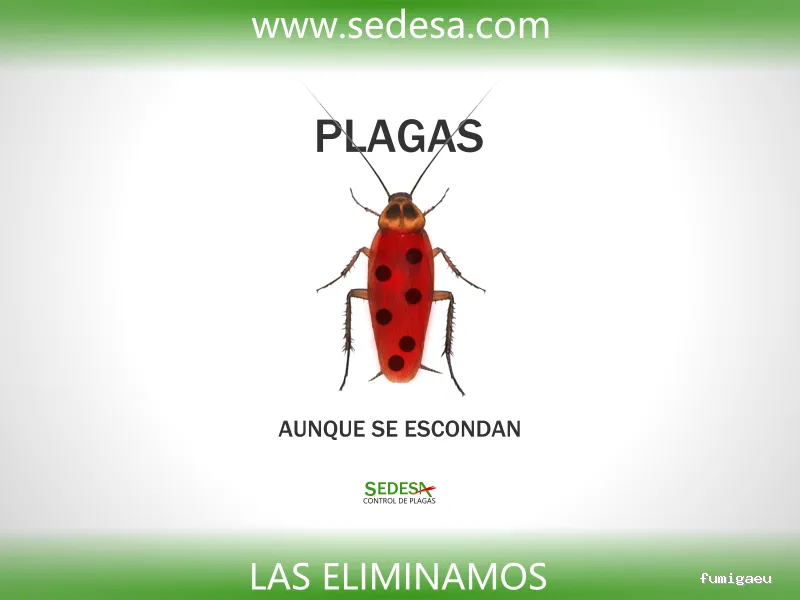 Sedesa Control de Plagas