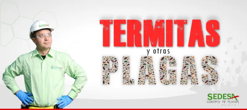 Sedesa Control de Plagas