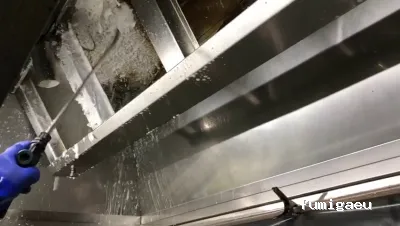 MCS Canarias S.L. | Limpieza, obra , control de plagas en Fuerteventura