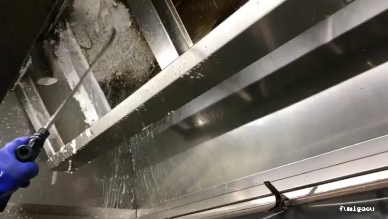 MCS Canarias S.L. | Limpieza, obra , control de plagas en Fuerteventura