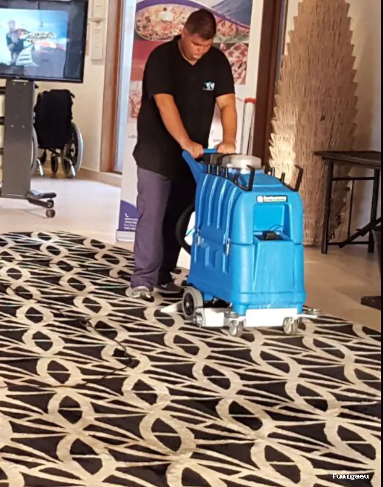 MCS Canarias S.L. | Limpieza, obra , control de plagas en Fuerteventura