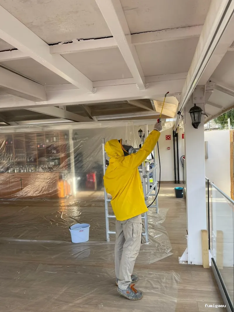 MCS Canarias S.L. | Limpieza, obra , control de plagas en Fuerteventura