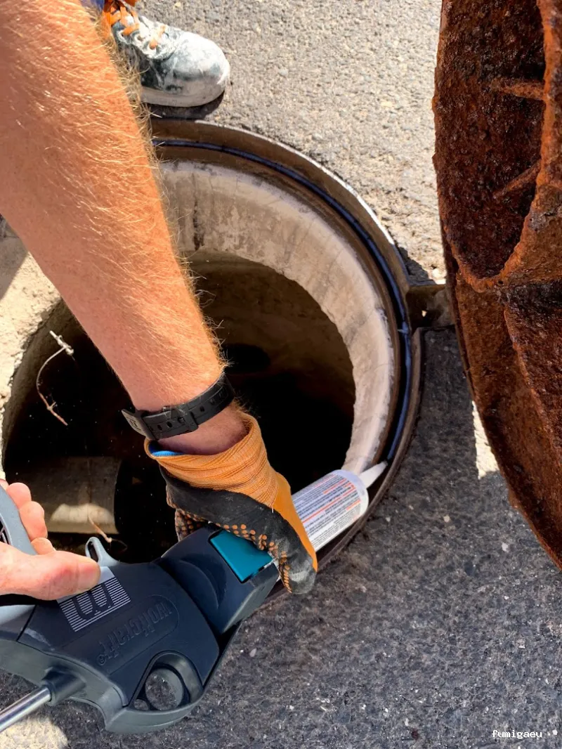 MCS Canarias S.L. | Limpieza, obra , control de plagas en Fuerteventura