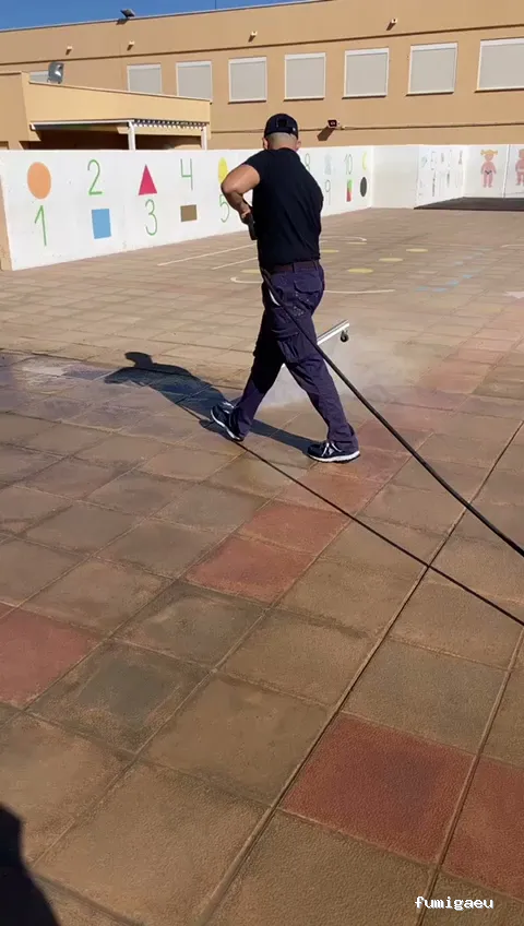 MCS Canarias S.L. | Limpieza, obra , control de plagas en Fuerteventura