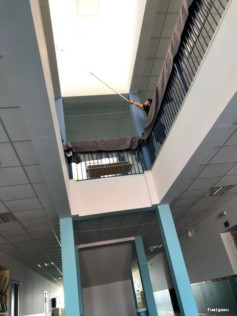 MCS Canarias S.L. | Limpieza, obra , control de plagas en Fuerteventura