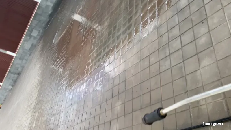 MCS Canarias S.L. | Limpieza, obra , control de plagas en Fuerteventura