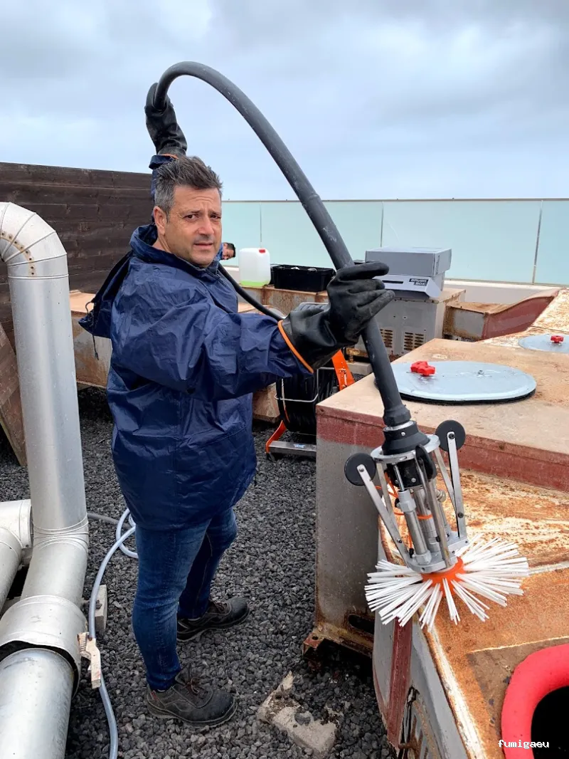 MCS Canarias S.L. | Limpieza, obra , control de plagas en Fuerteventura