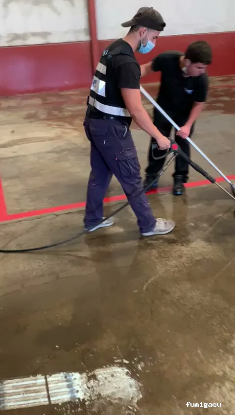 MCS Canarias S.L. | Limpieza, obra , control de plagas en Fuerteventura