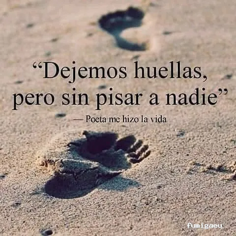 BIOCAPTURA CONTRATAS Y SERVICIOS