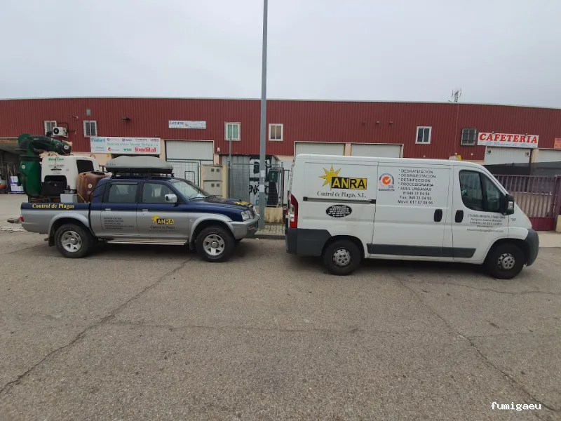 Anra Control de Plagas SL
