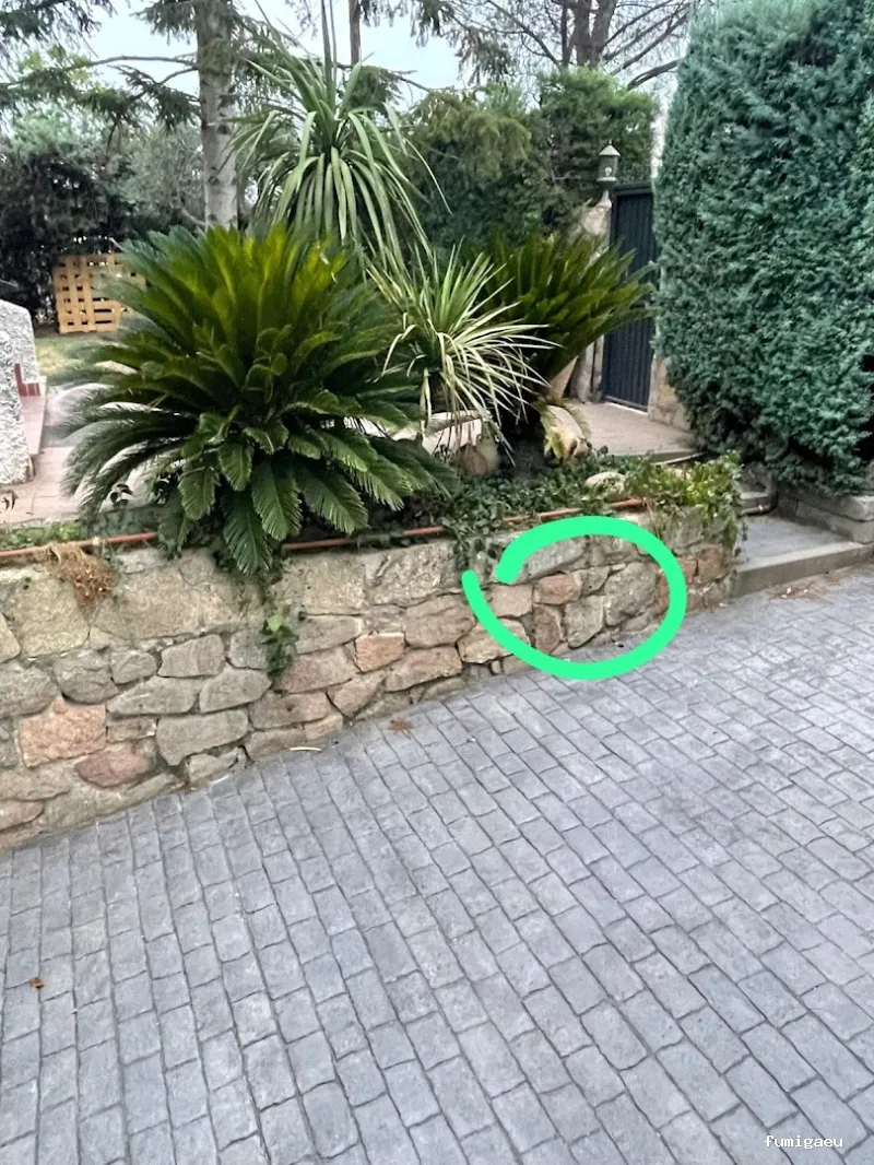 🐜 Urban Sanidad Ambiental | Control de Plagas