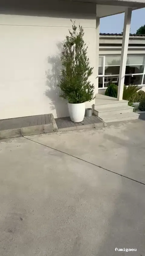 🐜 Urban Sanidad Ambiental | Control de Plagas