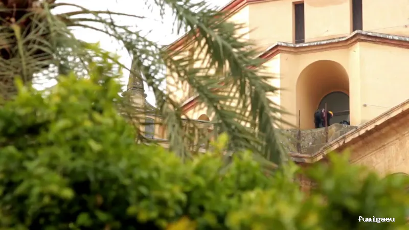 Control de plagas Cordoba | Abecor