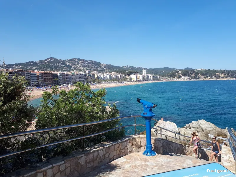 LLUITA INTEGRAL S.L - Control de plagas