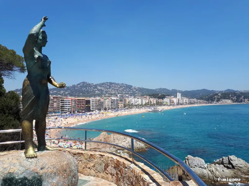 LLUITA INTEGRAL S.L - Control de plagas