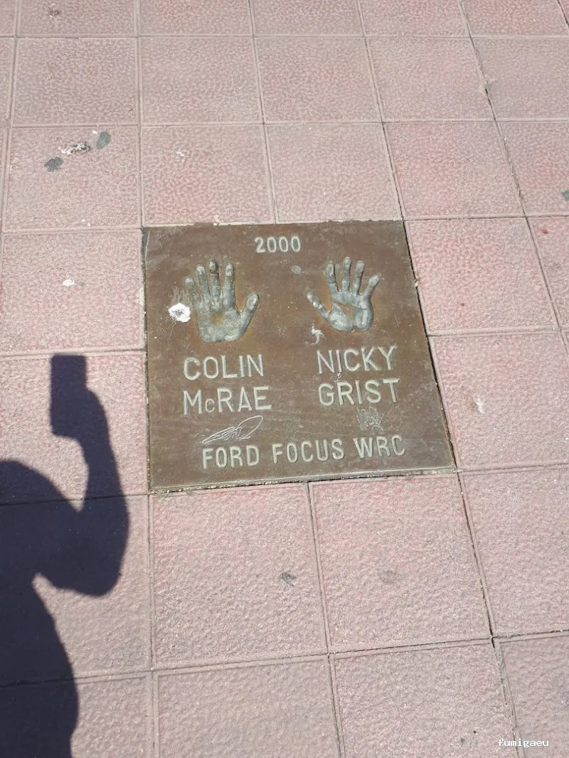 LLUITA INTEGRAL S.L - Control de plagas