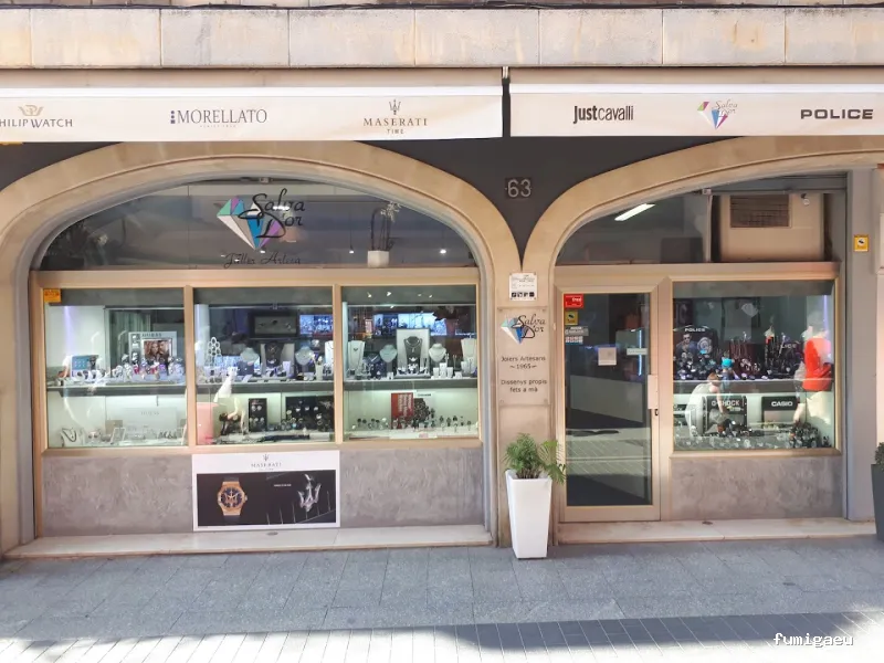 LLUITA INTEGRAL S.L - Control de plagas