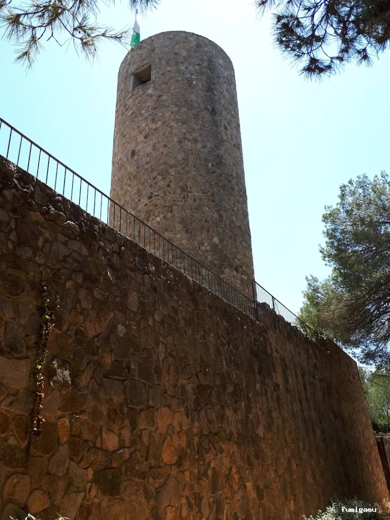 LLUITA INTEGRAL S.L - Control de plagas