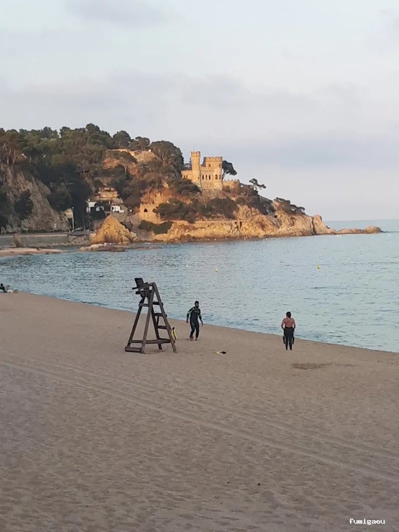 LLUITA INTEGRAL S.L - Control de plagas