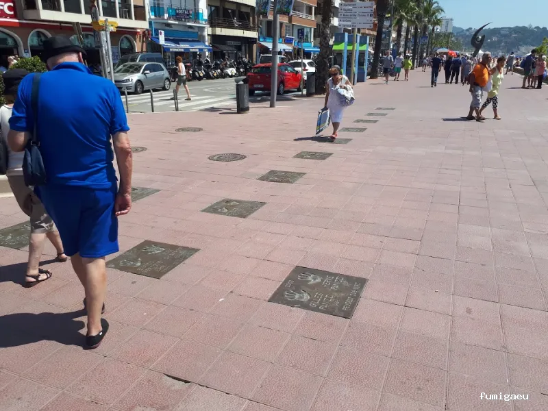 LLUITA INTEGRAL S.L - Control de plagas