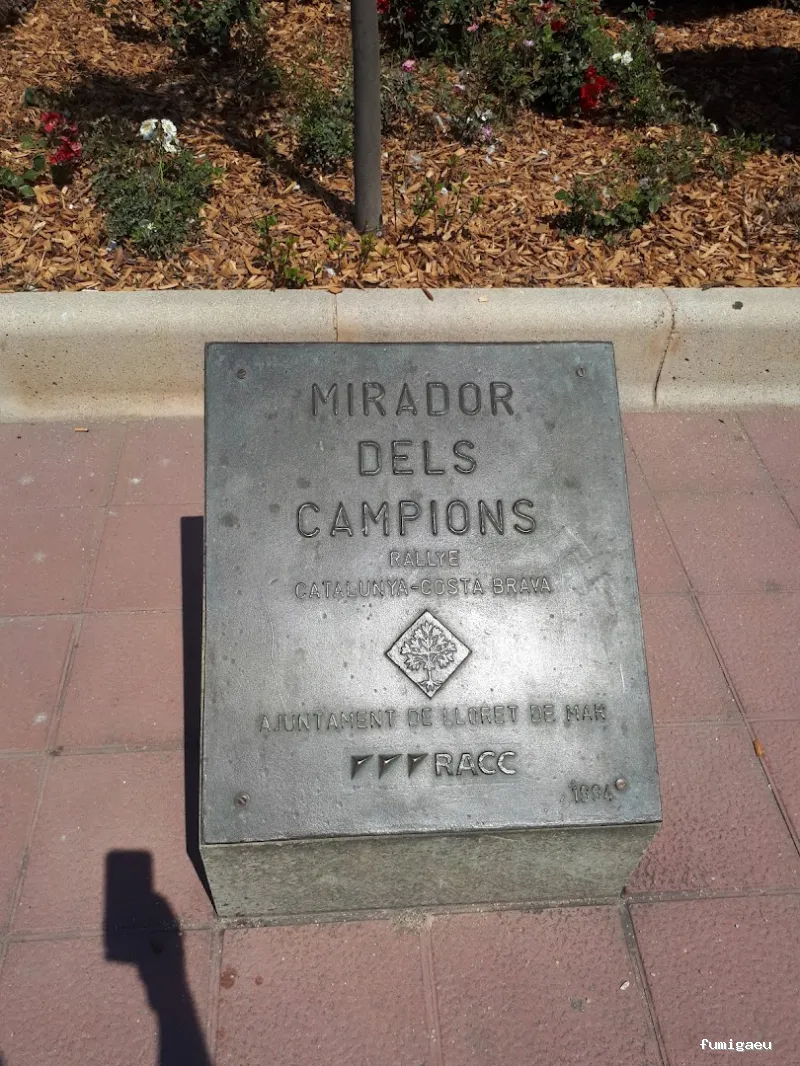 LLUITA INTEGRAL S.L - Control de plagas