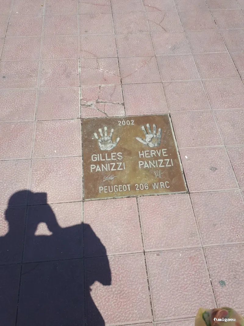 LLUITA INTEGRAL S.L - Control de plagas