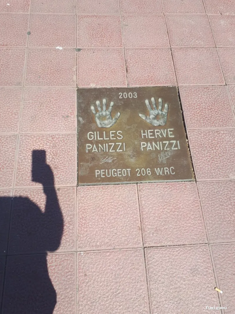 LLUITA INTEGRAL S.L - Control de plagas