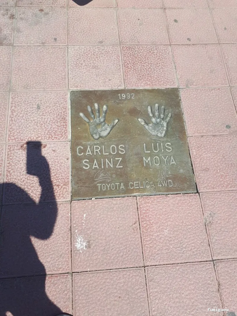 LLUITA INTEGRAL S.L - Control de plagas