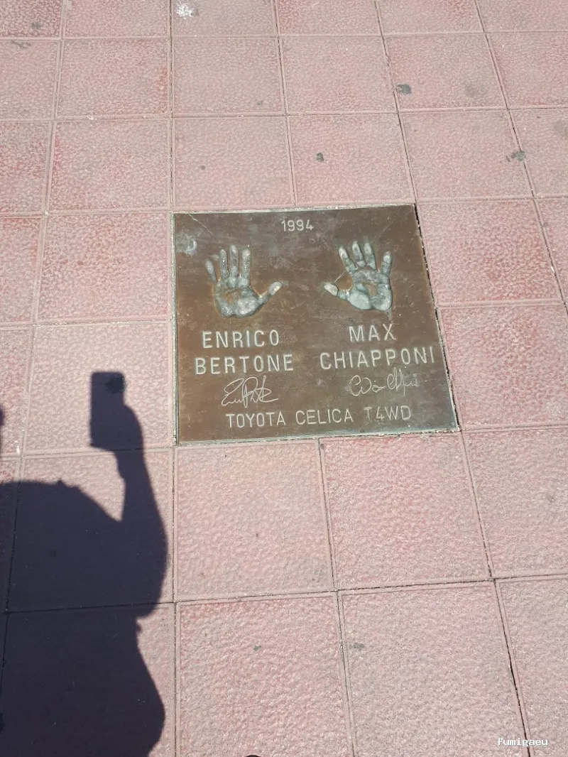 LLUITA INTEGRAL S.L - Control de plagas