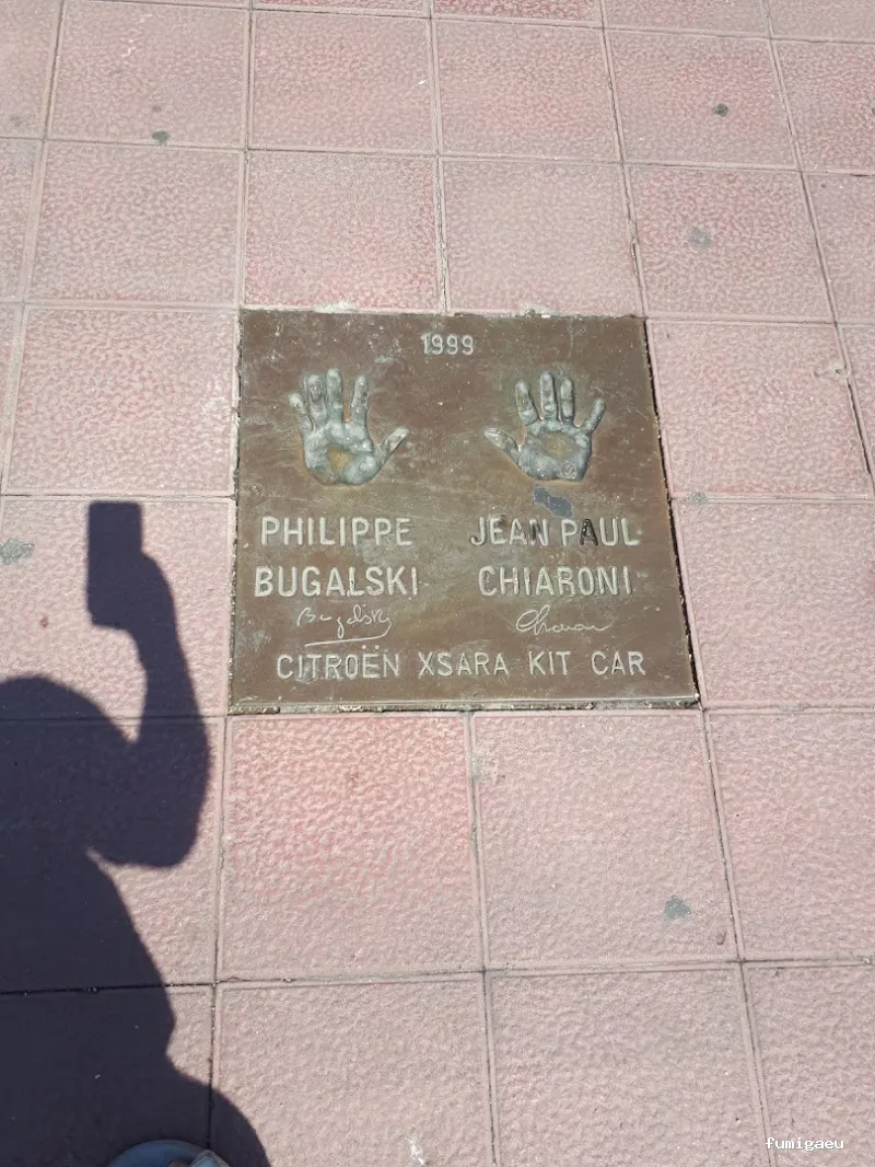 LLUITA INTEGRAL S.L - Control de plagas