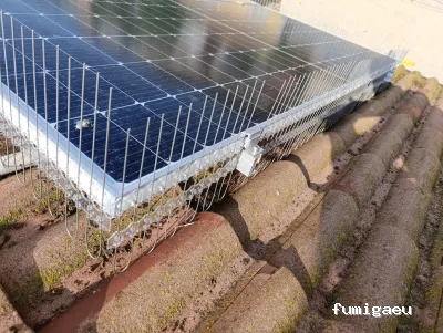 Tiétar Control de Plagas