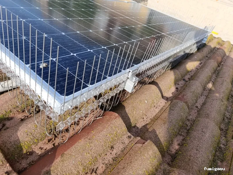 Tiétar Control de Plagas