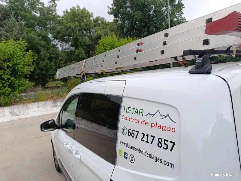 Tiétar Control de Plagas