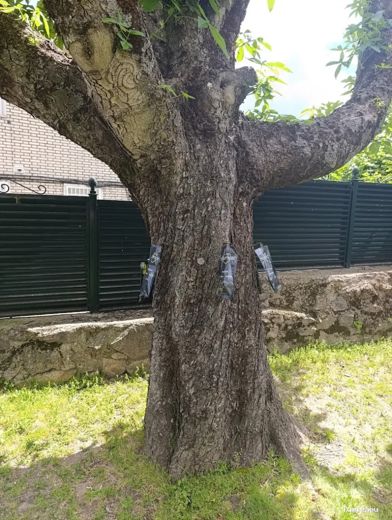 Tiétar Control de Plagas