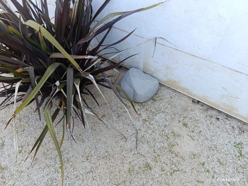 Tiétar Control de Plagas