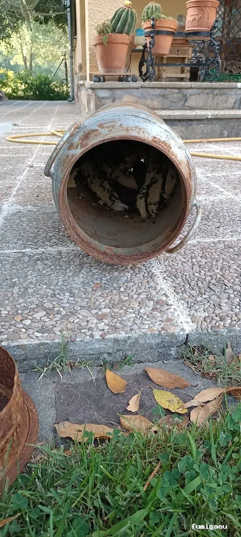 Tiétar Control de Plagas