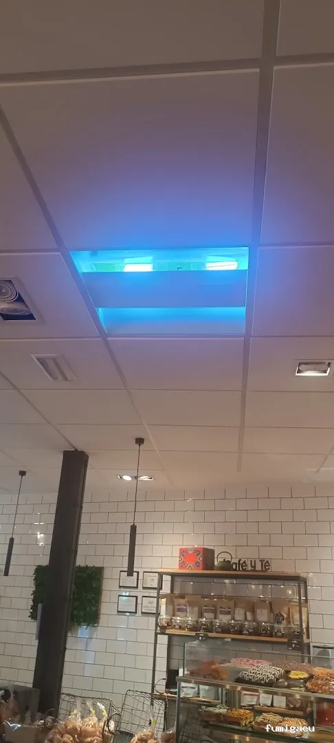 Tiétar Control de Plagas