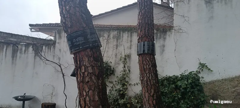 Tiétar Control de Plagas